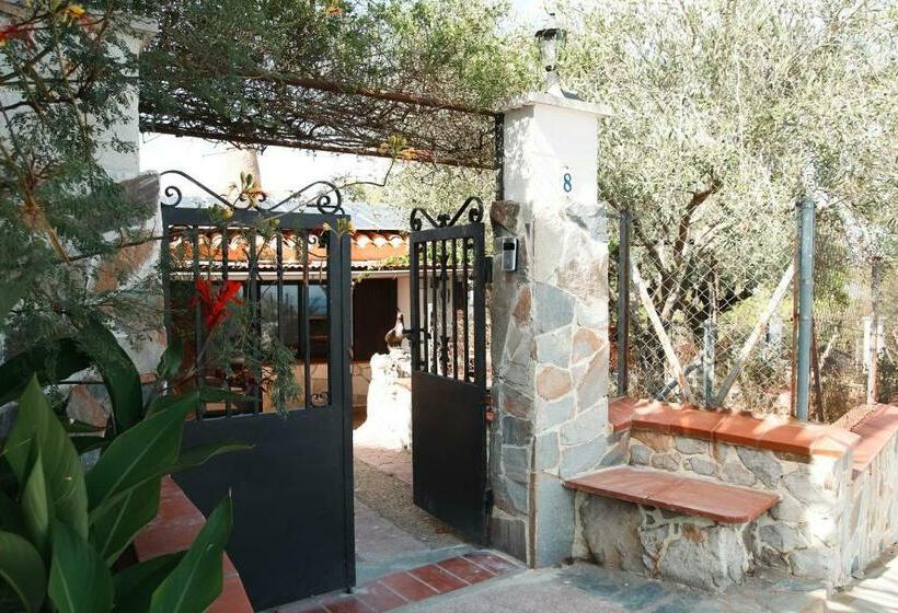 Suite Daltmar Canyelles