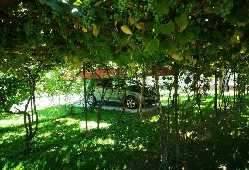 Bagolyvár Vendégház