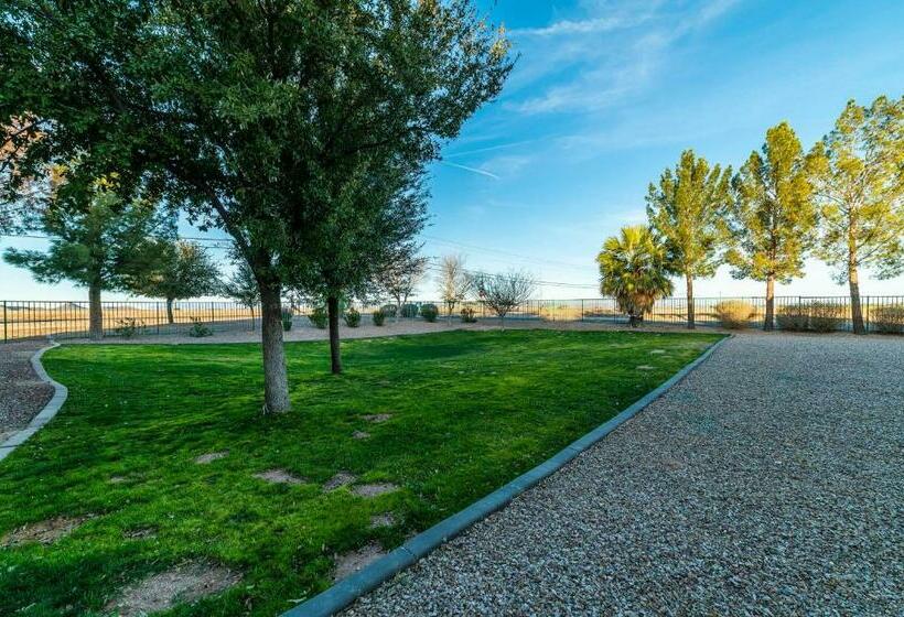 Coolidge 3bd 2ba Upgraded Apartment With Amenities