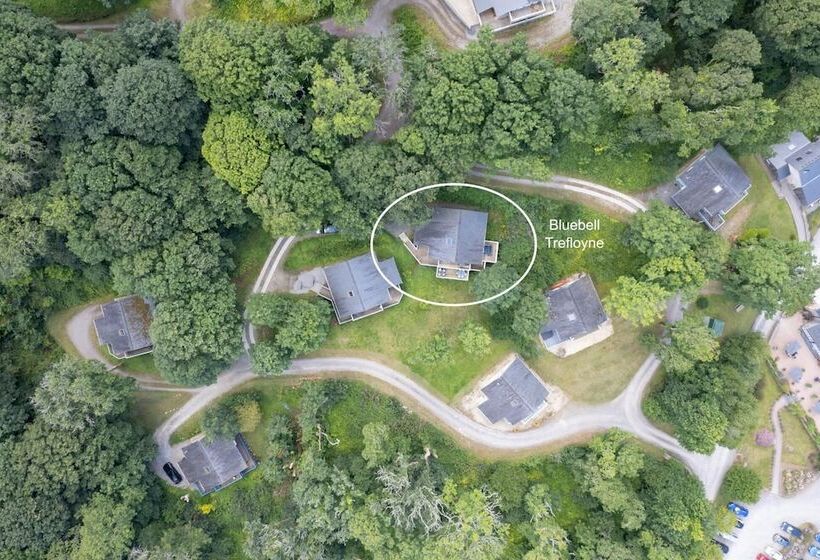 The Bluebell   Luxury Lodge With Hot Tub