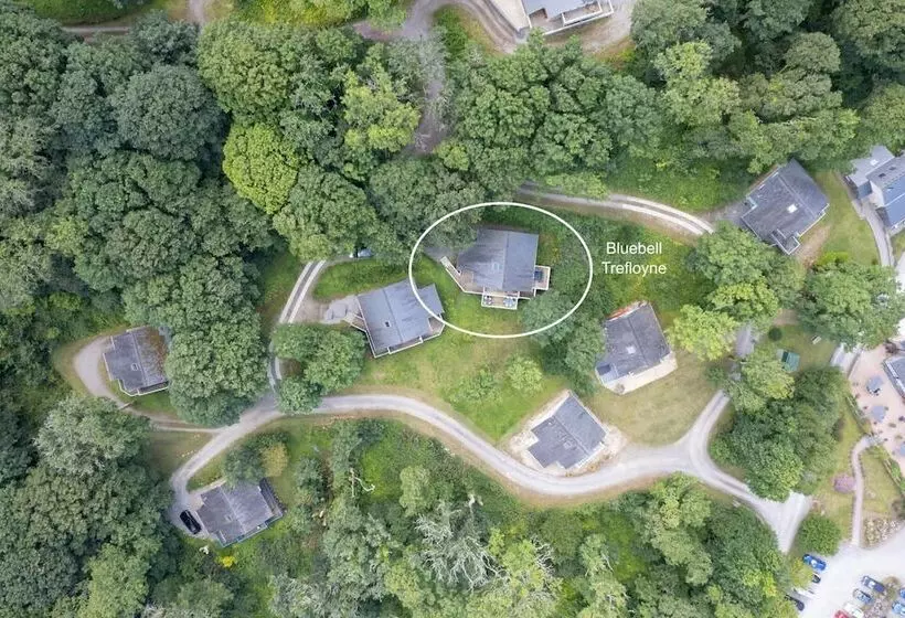 The Bluebell   Luxury Lodge With Hot Tub