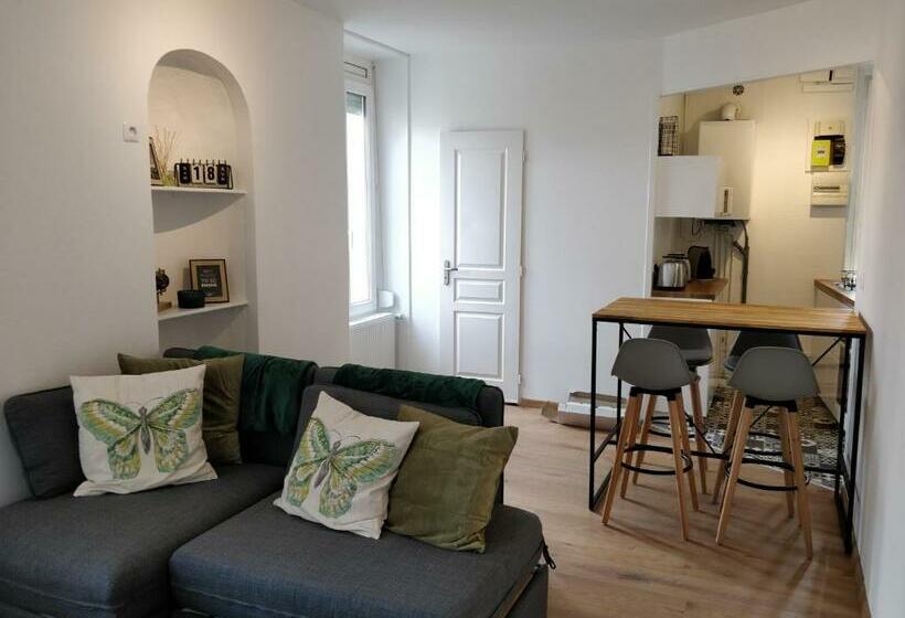 Cosy T2 31m2 Centre Ville Dijon Gare Et Darcy