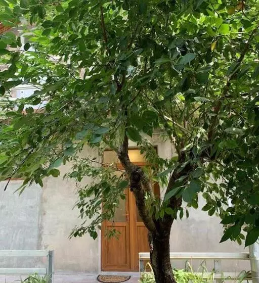 Homy Is A Cozy Two Story Private House