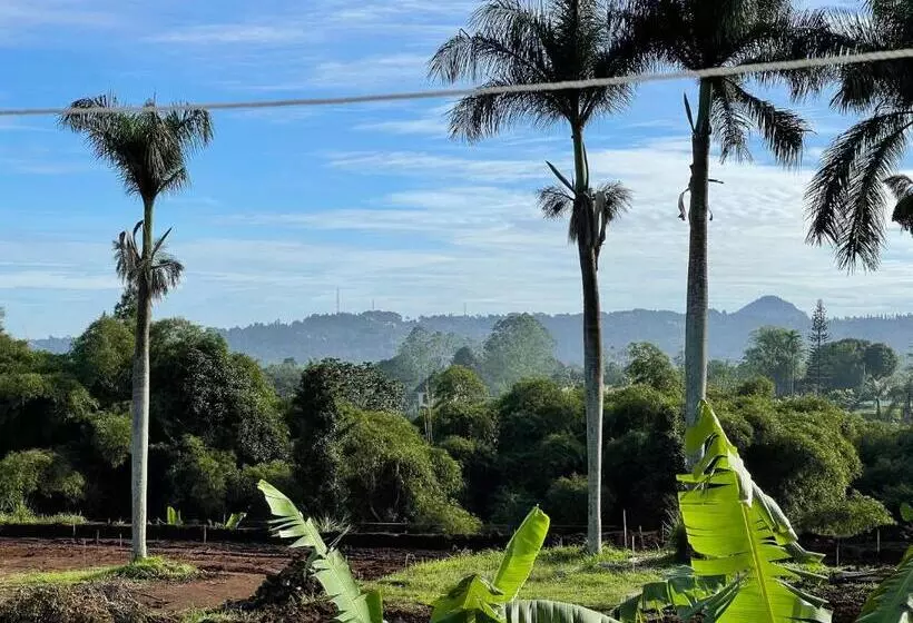 Villa La Vimala