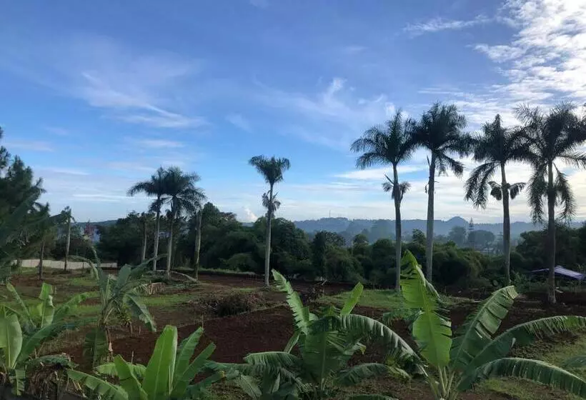 Villa La Vimala