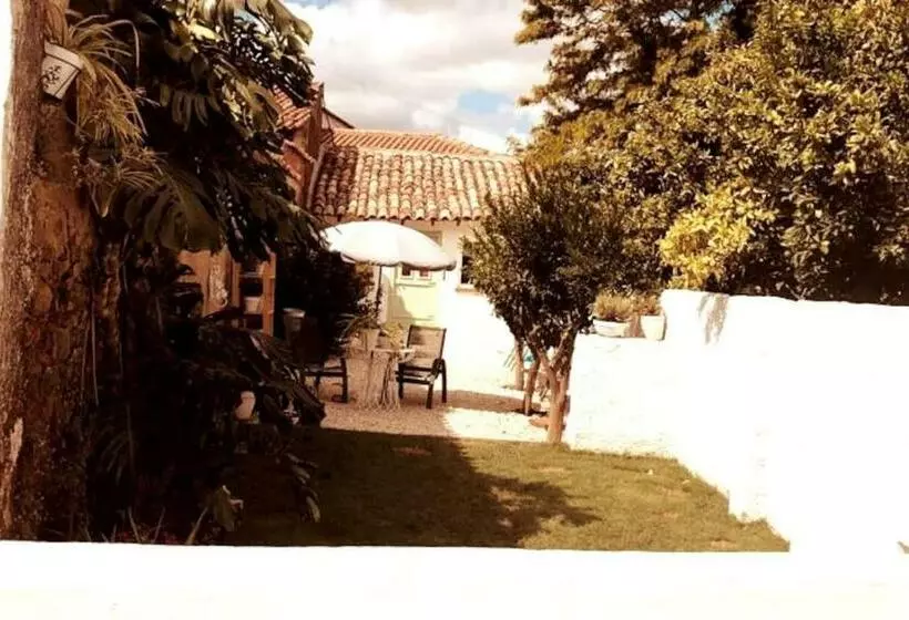 A Casa Da Monstera