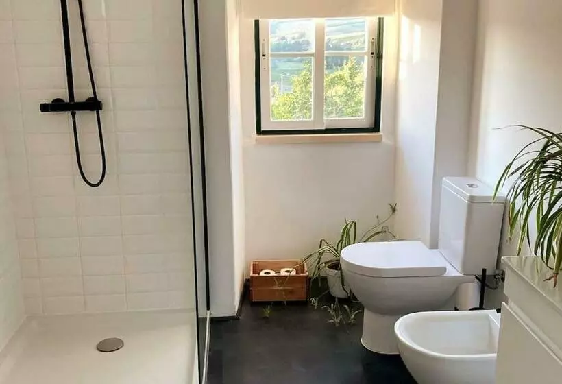 A Casa Da Monstera