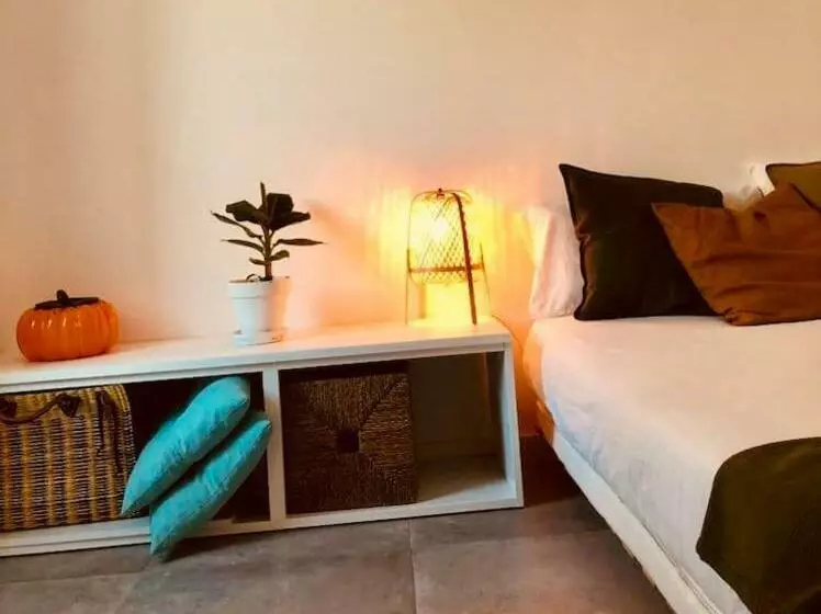 A Casa Da Monstera