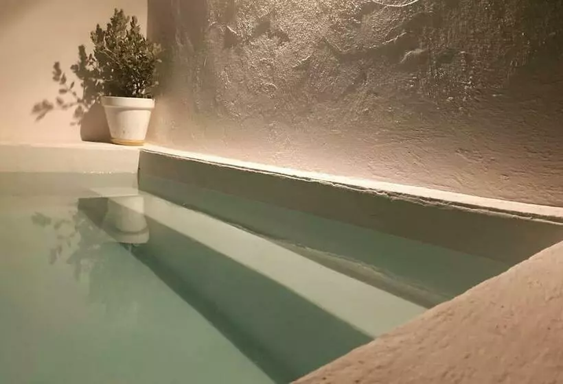 A Casa Da Monstera