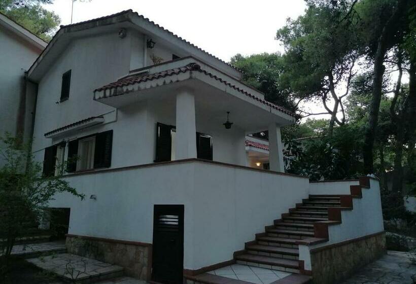 Gladomus   Splendida Nel Cuore Della Pineta