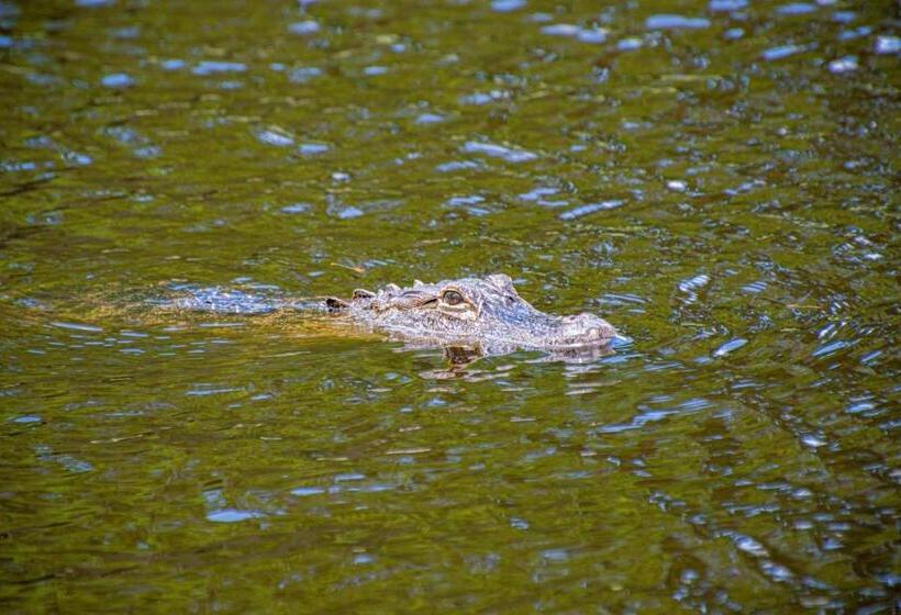 Newly Listed! 20 Percent Off! Golf And Tennis Community Lavish Living