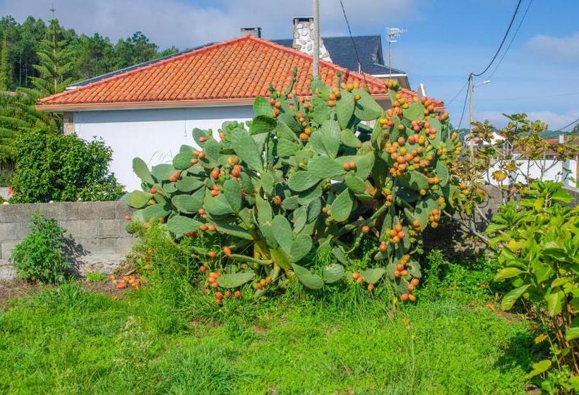 Casa Frutales Escaselas