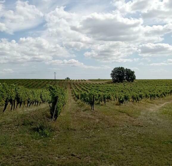 Maisonnette Neuve Monbazillac