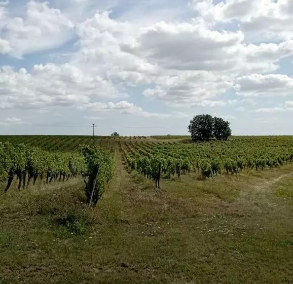 Maisonnette Neuve Monbazillac