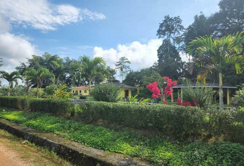Casa Colorida Y Acogedora