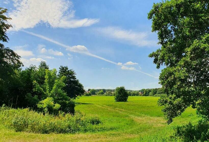 Ferienwohnung Dabel West 381