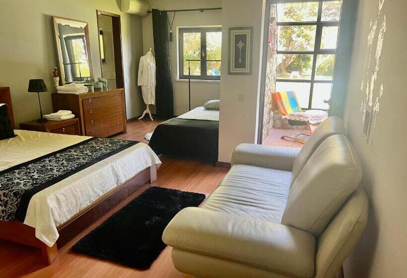 Moradia Com Piscina E Jardim