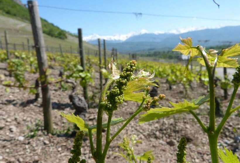 호텔 La Clé Des Champs