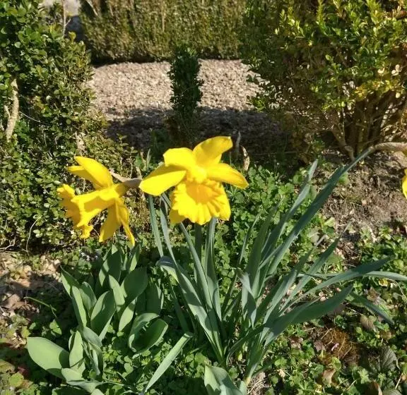 酒店 La Croix De Vernuche