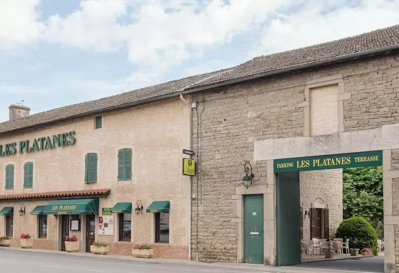 Hotel Hôtel Les Platanes