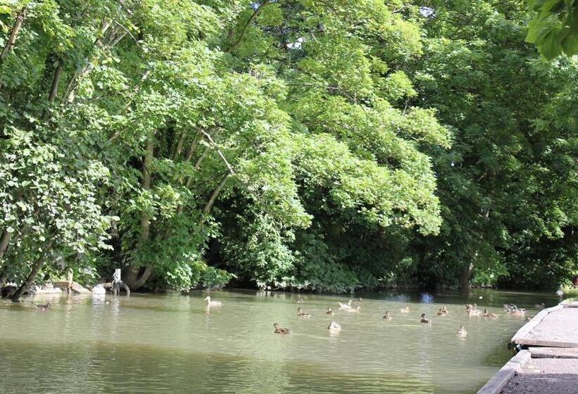 호텔 The Golden Pheasant