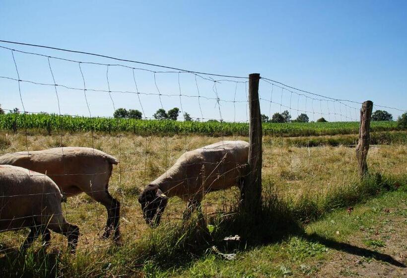 호텔 Zum Alten Bahnhof