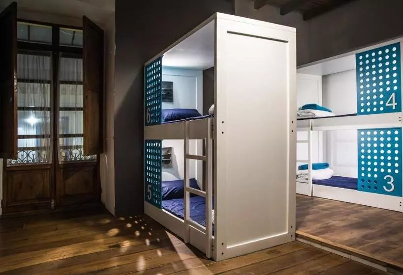 Hump Day Hostel