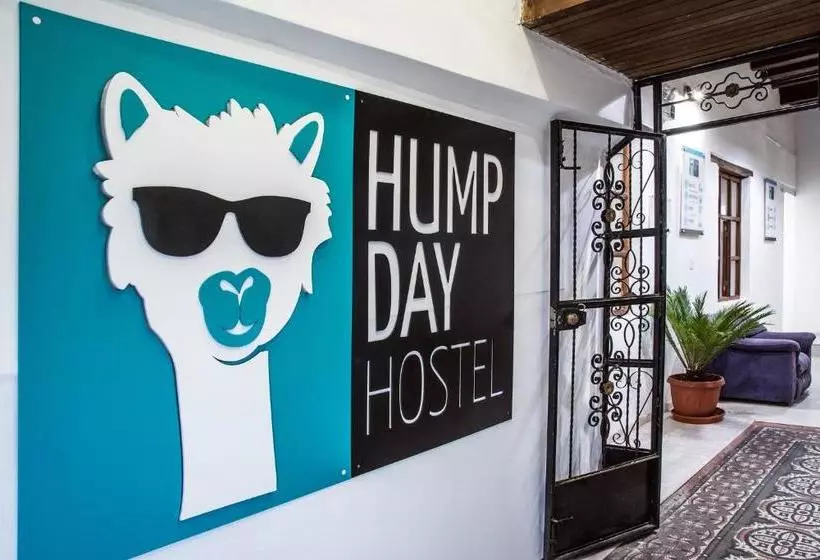 Hump Day Hostel