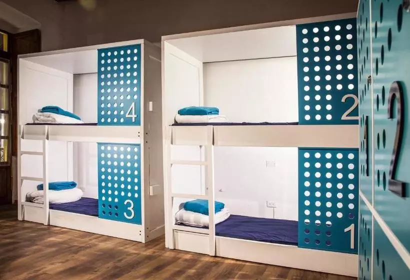 Hump Day Hostel