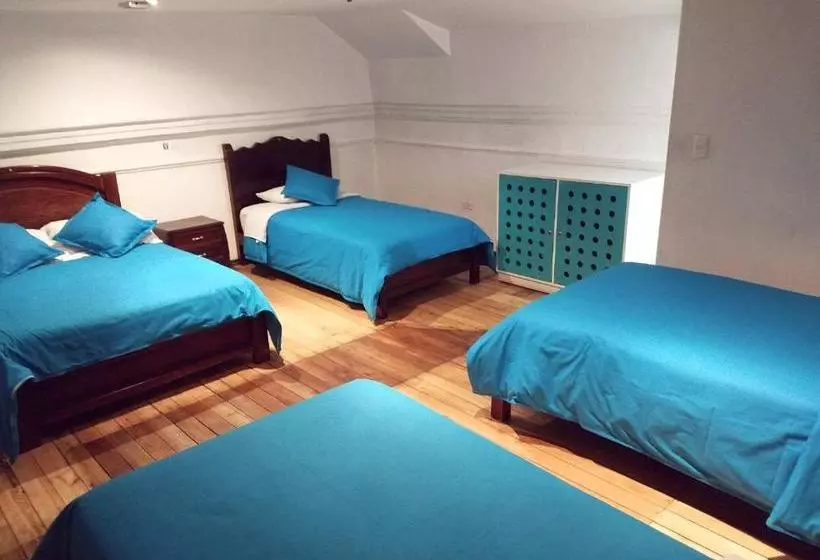 Hump Day Hostel