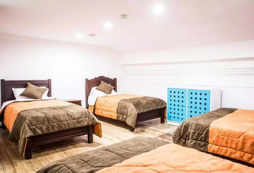 Hump Day Hostel