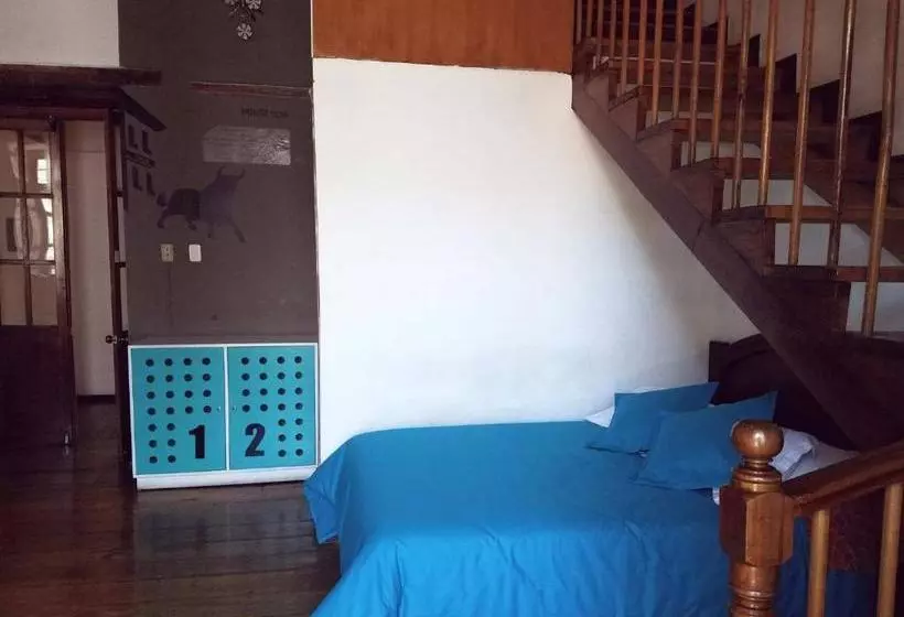 Hump Day Hostel