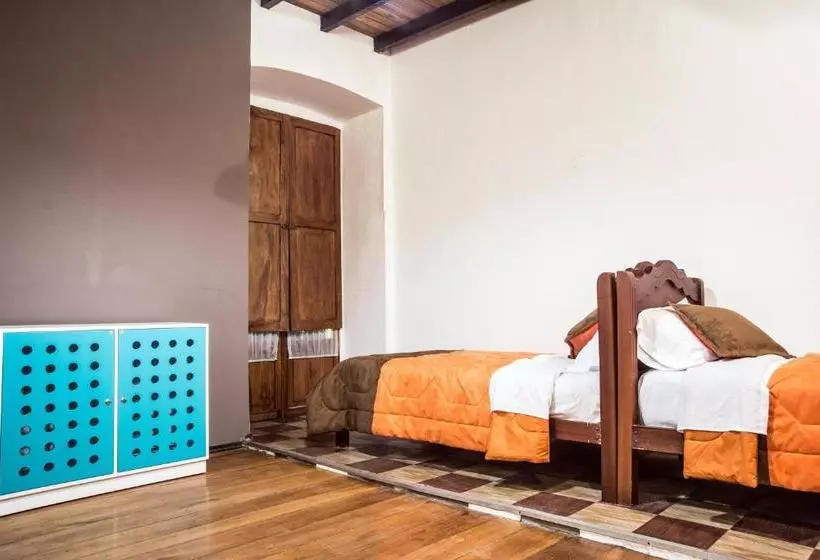 Hump Day Hostel