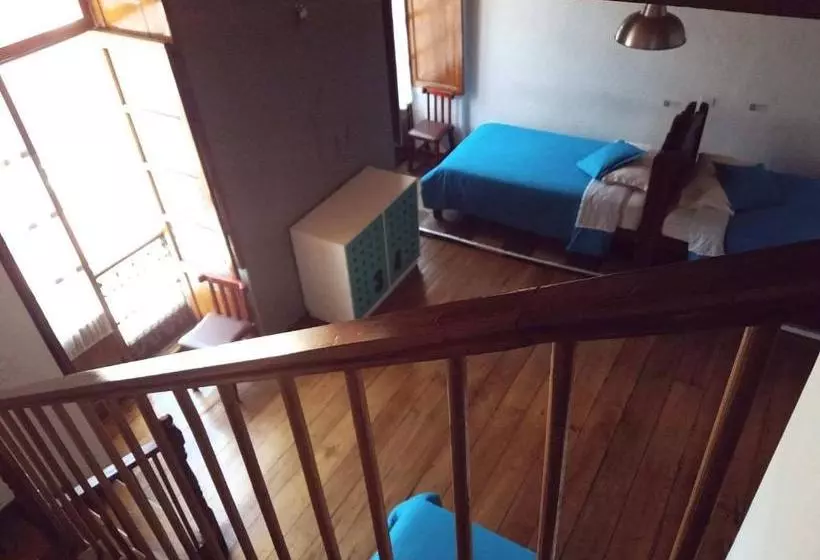 Hump Day Hostel