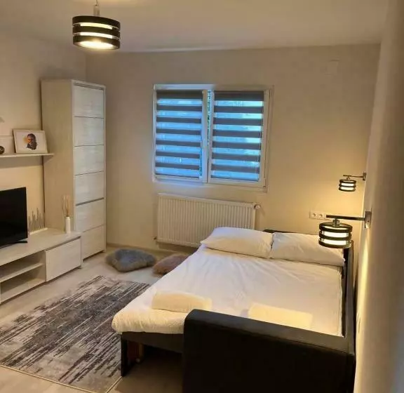 Barney Apartman