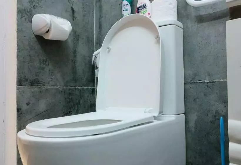 Sw Home Mu  Mont Choisy