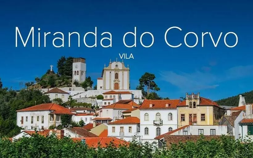 Casa Dos Copos   Drinks House