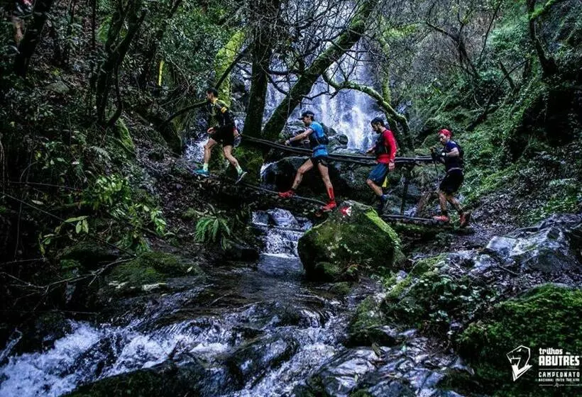 Casa Dos Copos   Drinks House