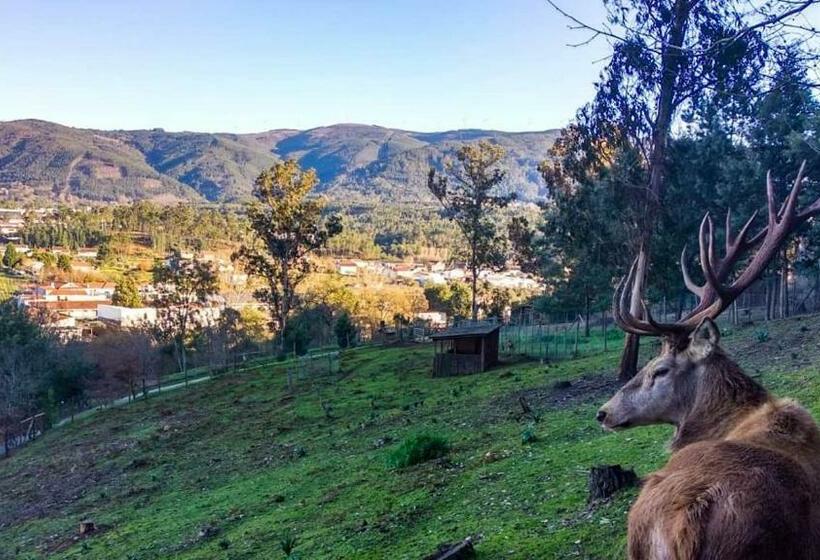 Casa Dos Copos   Drinks House