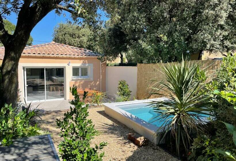 Magnifique Villa Avec Piscine En Provence