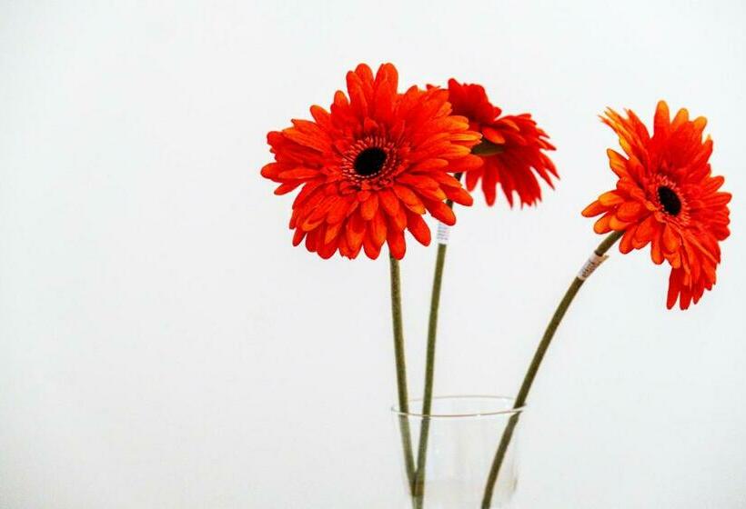 Zen Suite City Centre Apartment By Your Prefect Stay Short Lets Birmingham With Dedicated Work Space