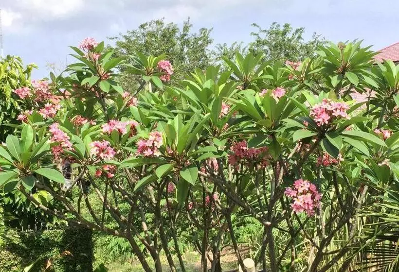 Banda Aceh Batoh Homestay   Private   Fits Up To 8 Persons