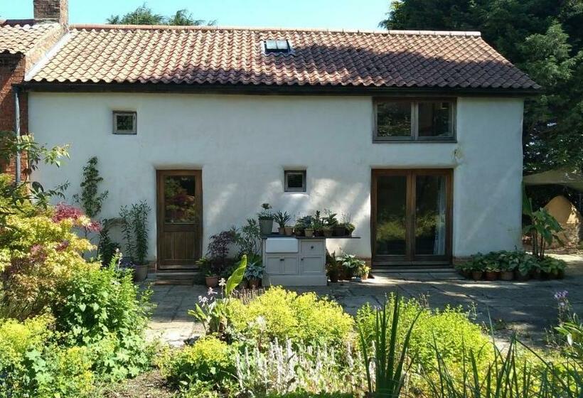 Sans, Souci. @ Mill House