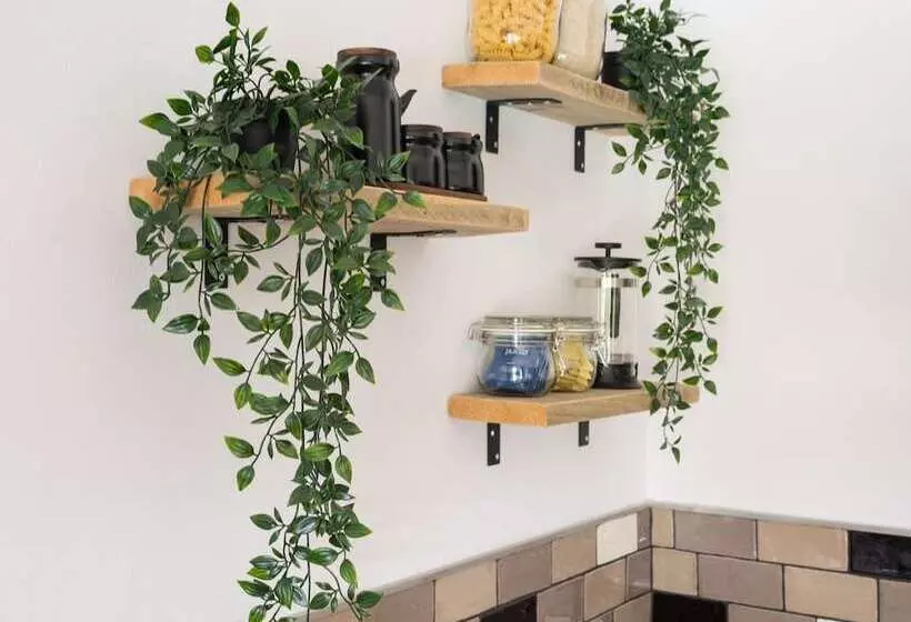 Suite Swimming Pool Quinta Da Eira 140 Years Old