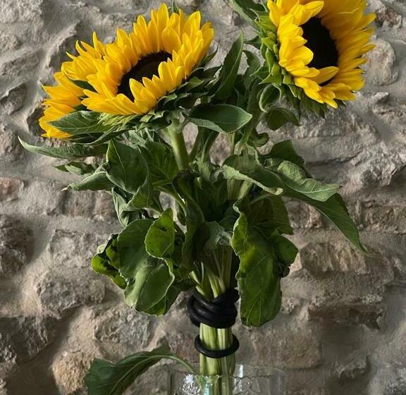 Torre Dell’angelo B&b