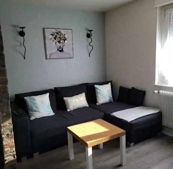 Appartement Au Cigogneau Wifi Netflix Balcon Parking