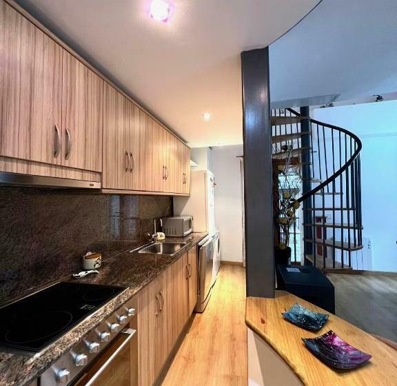 Apartamento Duplex En Rialp Ars