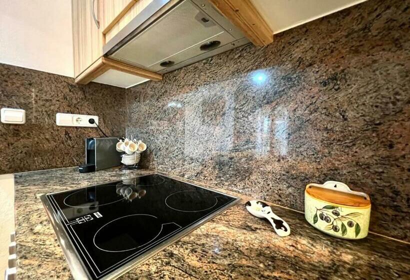 Apartamento Duplex En Rialp Ars