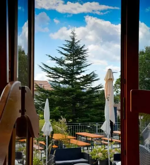 Hotelli Villa Argentina Ronzone