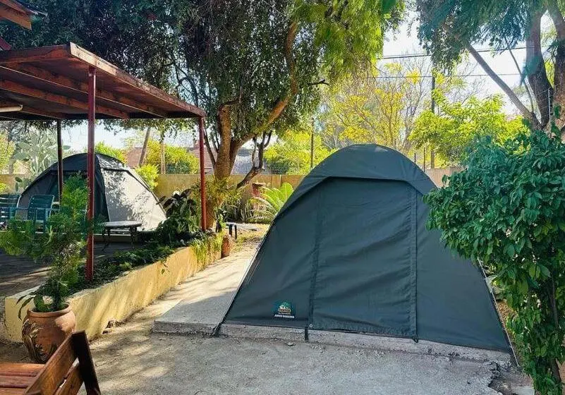 پانسیون Birdville Bnb Guest House